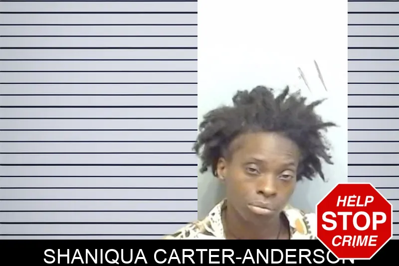 Shaniqua Carter-Anderson mugshot – Fulton County , Georgia Shaniqua Carter-Anderson mugshot
