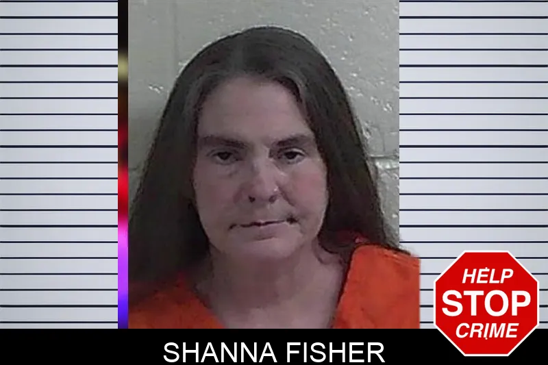Shanna Fisher mugshot