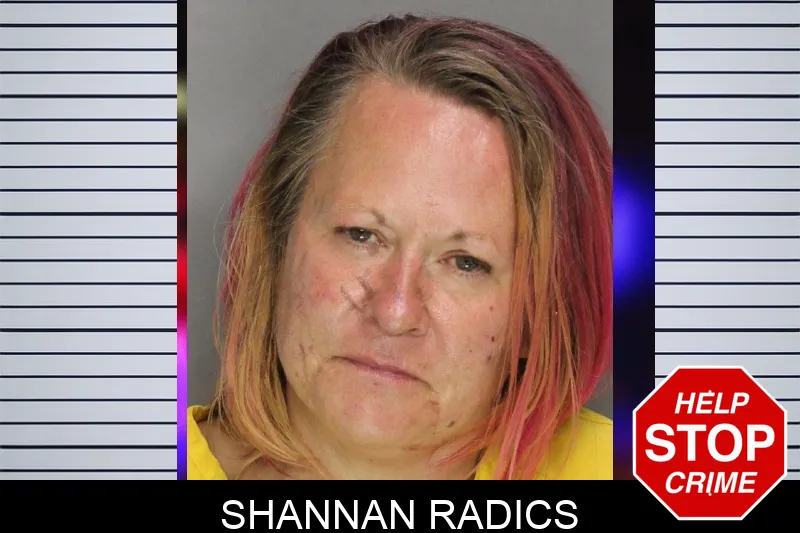 Shannan Radics mugshot – Cobb County , Georgia Shannan Radics mugshot