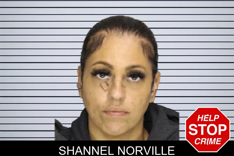 Shannel Norville mugshot – Cobb County , Georgia Shannel Norville mugshot