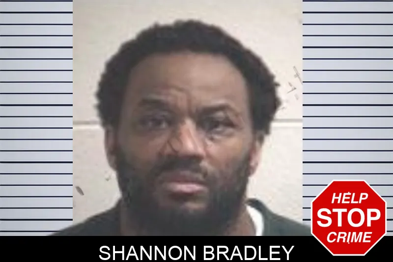 Shannon Bradley mugshot