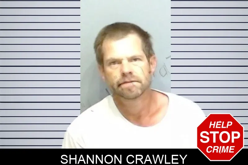 Shannon Crawley mugshot – Fulton County , Georgia Shannon Crawley mugshot