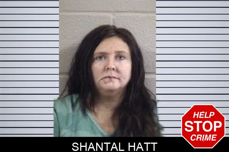 Shantal Hatt mugshot