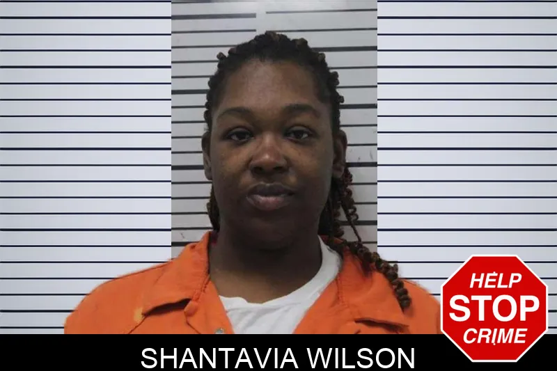 Shantavia Wilson mugshot
