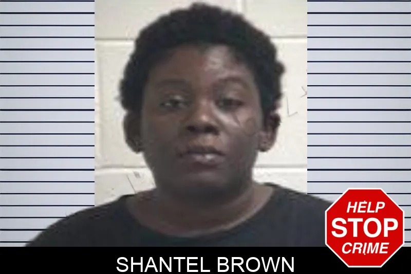 Shantel Brown mugshot