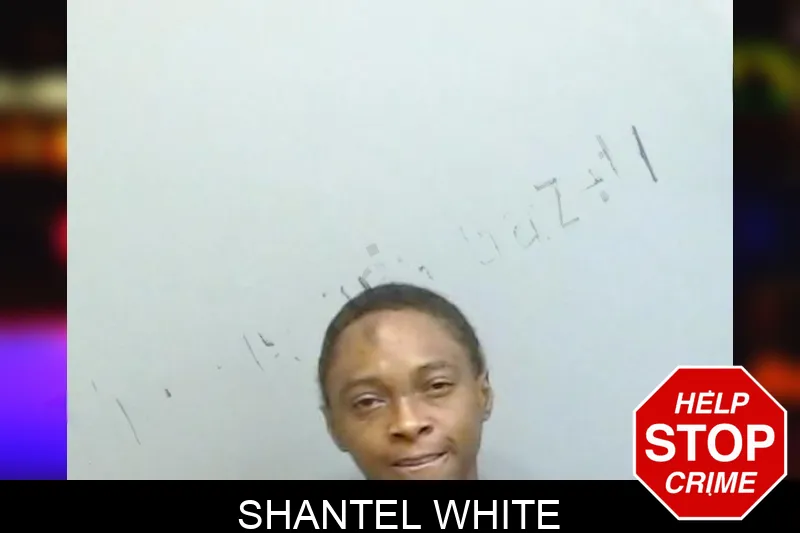 Shantel White mugshot