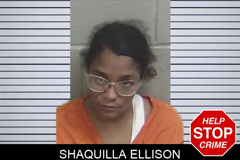Shaquilla Ellison mugshot – Wayne County , Georgia Shaquilla Ellison mugshot