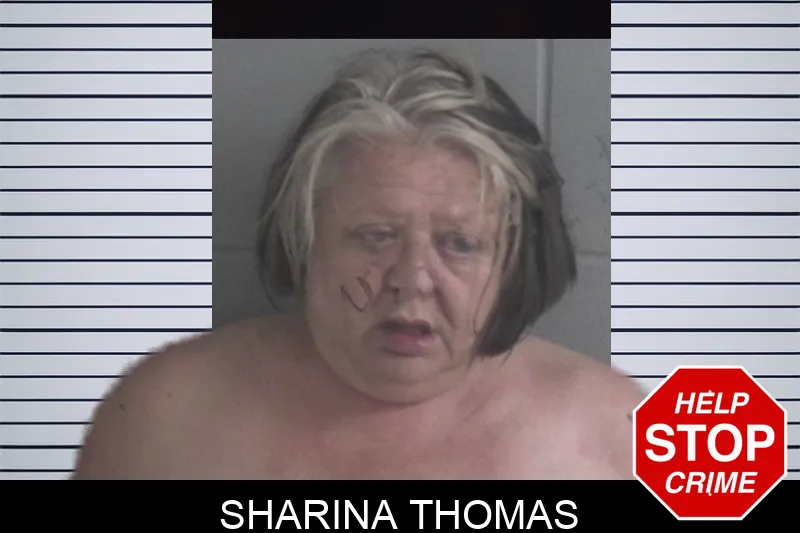 Sharina Thomas mugshot – Brantley County , Georgia Sharina Thomas mugshot