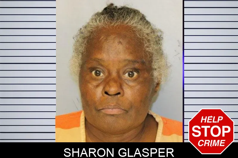 Sharon Glasper mugshot – Hall County , Georgia Sharon Glasper mugshot