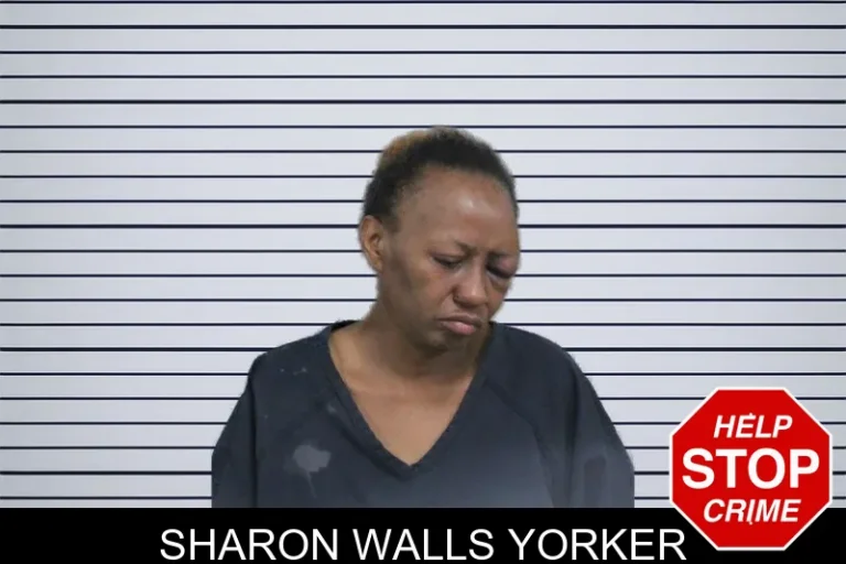 Sharon Walls Yorker
