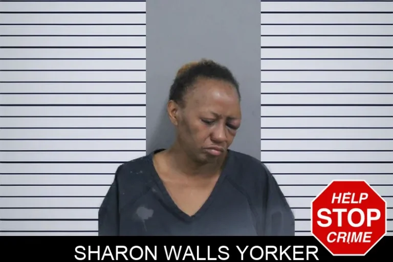 Sharon Walls Yorker