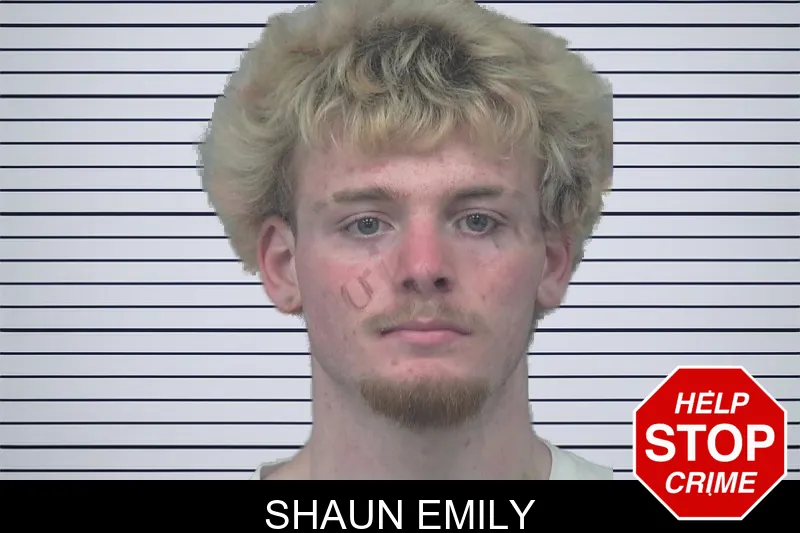 Shaun Emily mugshot – Gwinnett County , Georgia Shaun Emily mugshot