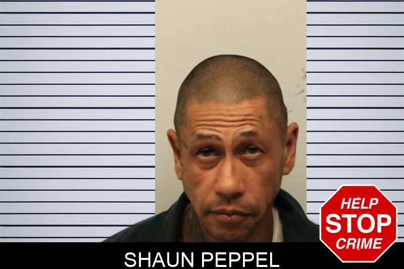 Shaun Peppel mugshot