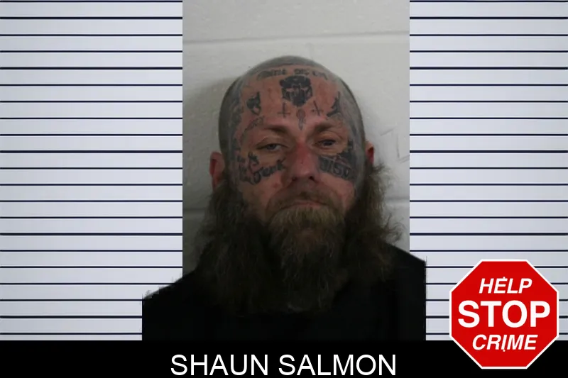 Shaun Salmon mugshot