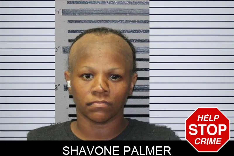 Shavone Palmer mugshot