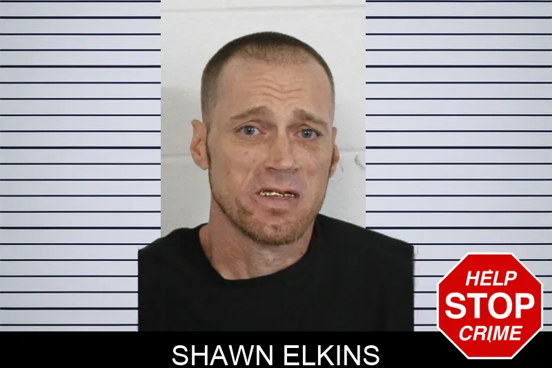 Shawn Elkins mugshot