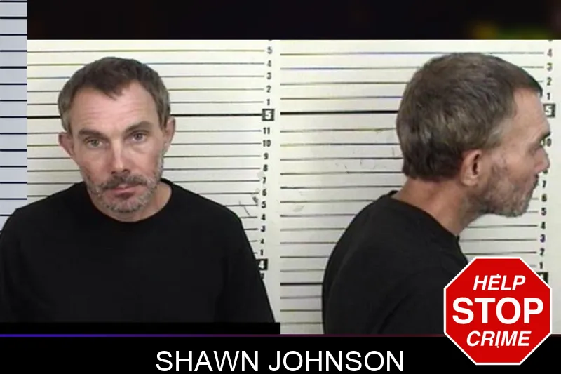Shawn Johnson mugshot