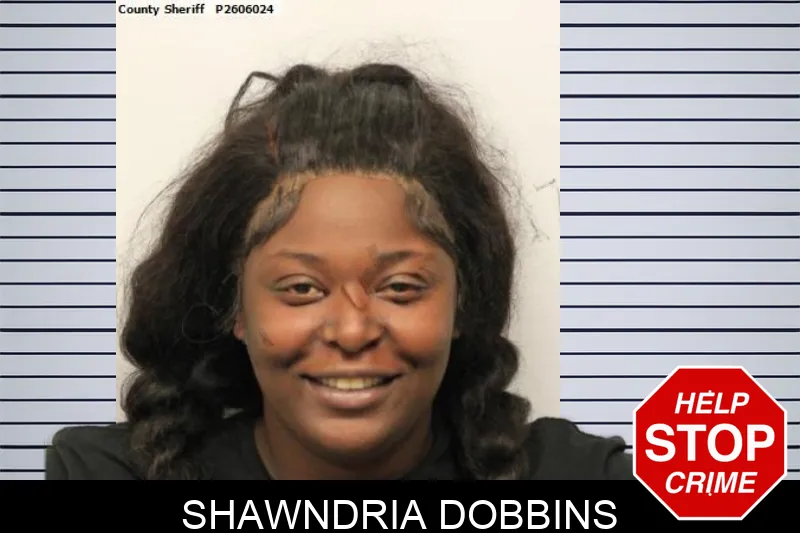 Shawndria Dobbins mugshot