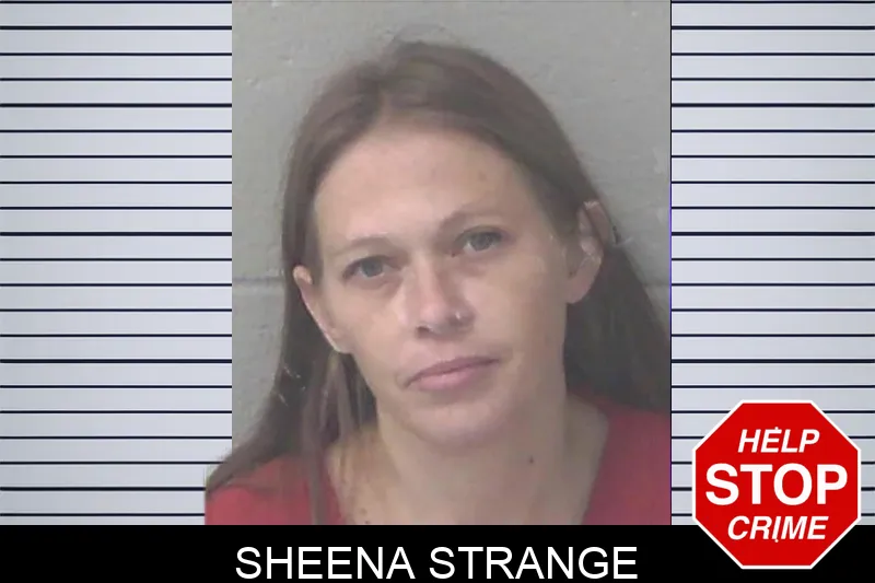 Sheena Strange mugshot – Newton County , Georgia Sheena Strange mugshot