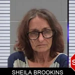Sheila Brookins mugshot