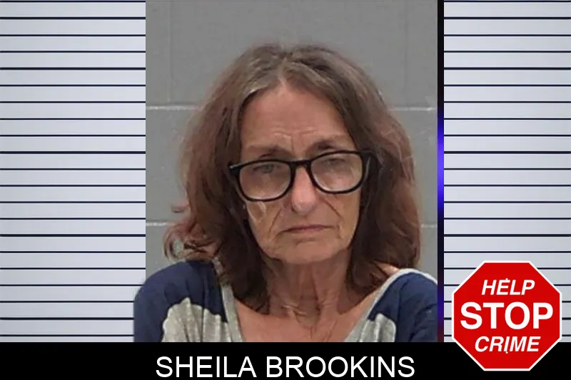 Sheila Brookins mugshot