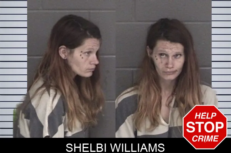 Shelbi Williams mugshot – Barrow County , Georgia Shelbi Williams mugshot