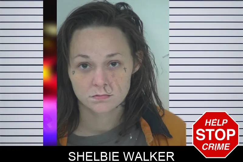 Shelbie Walker mugshot