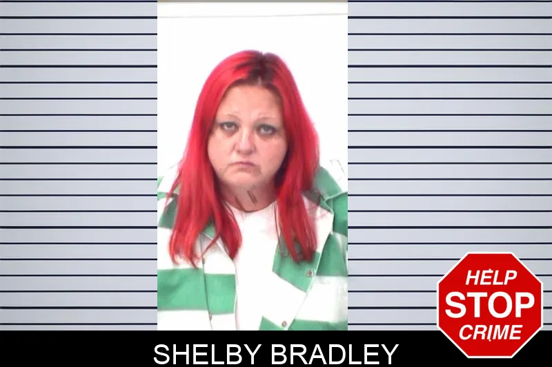 Shelby Bradley mugshot