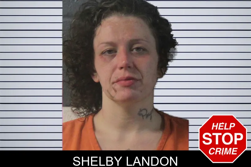 Shelby Landon mugshot – Lumpkin County , Georgia Shelby Landon mugshot