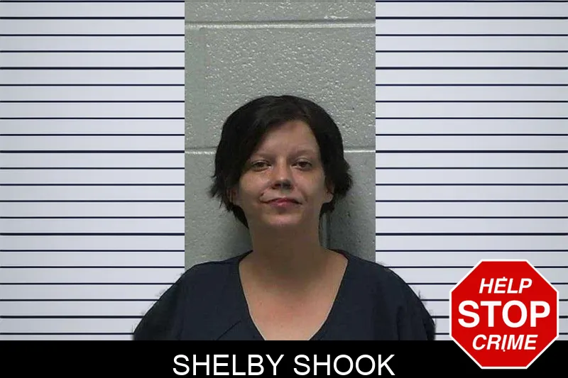 Shelby Shook mugshot