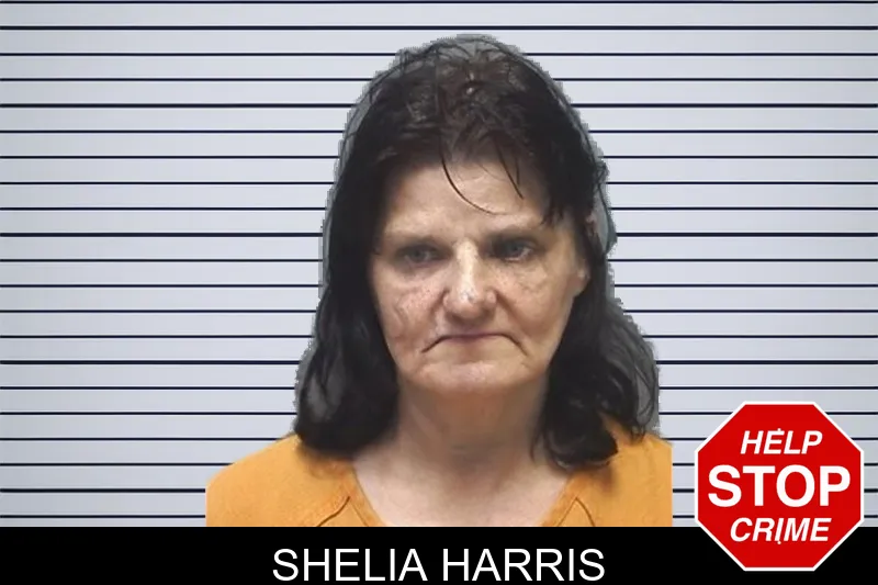 Shelia Harris mugshot – Cherokee County , Georgia Shelia Harris mugshot