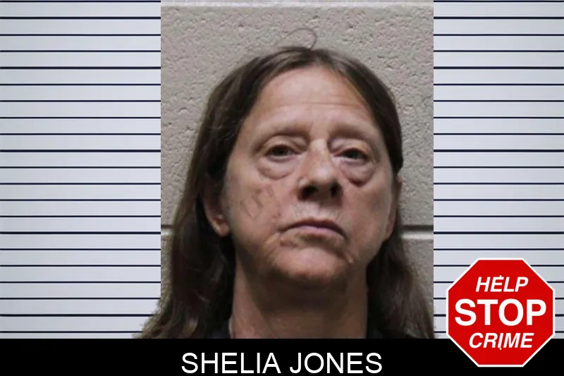 Shelia Jones mugshot