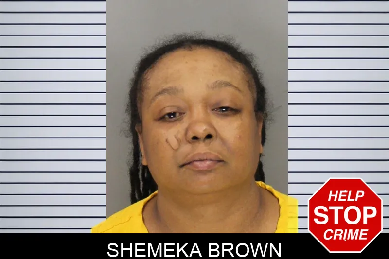Shemeka Brown mugshot