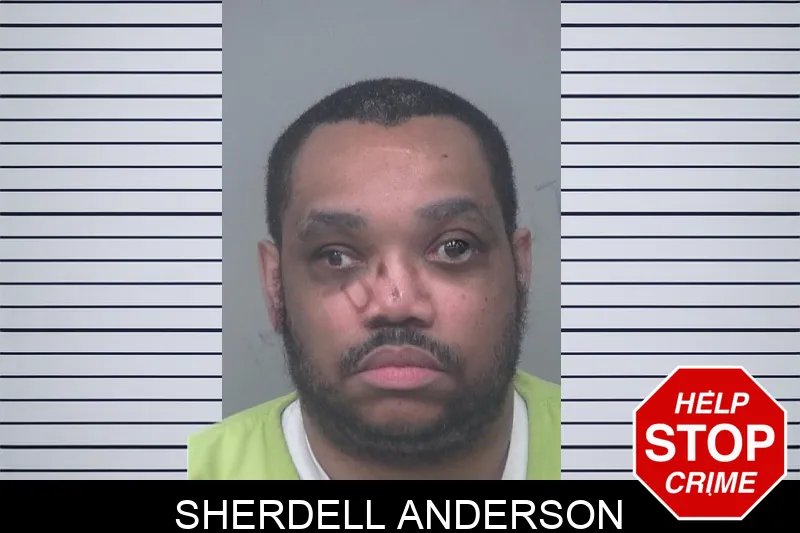 Sherdell Anderson mugshot