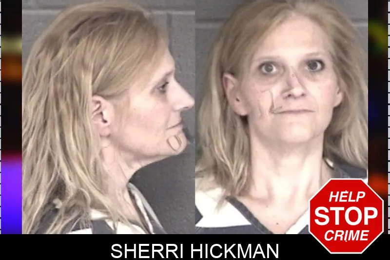 Sherri Hickman mugshot