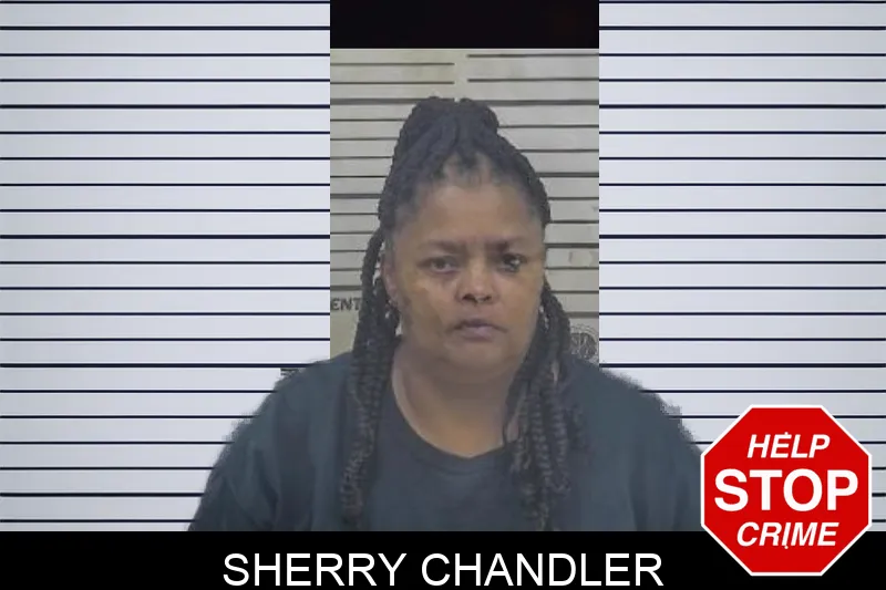 Sherry Chandler mugshot