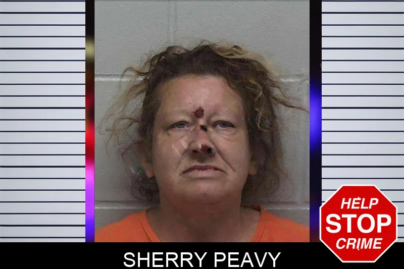 Sherry Peavy mugshot