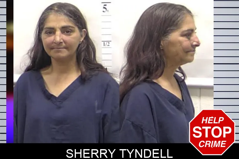 Sherry Tyndell mugshot