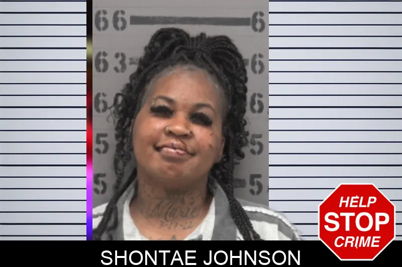 Shontae Johnson mugshot