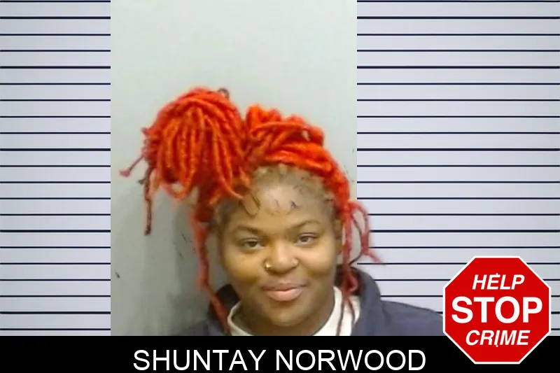 Shuntay Norwood mugshot – Fulton County , Georgia Shuntay Norwood mugshot