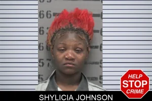 Shylicia Johnson mugshot