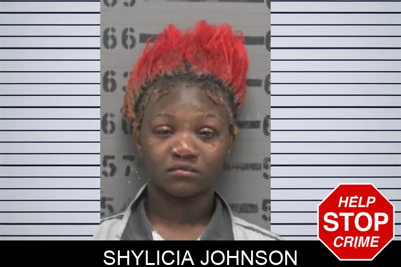 Shylicia Johnson mugshot