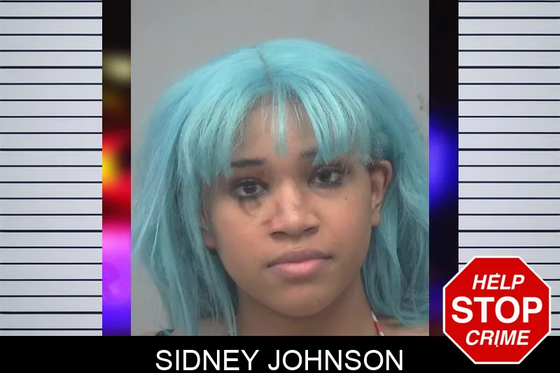 Sidney Johnson mugshot