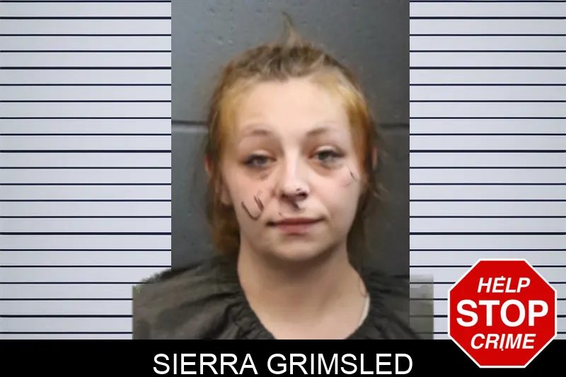 Sierra Grimsled mugshot