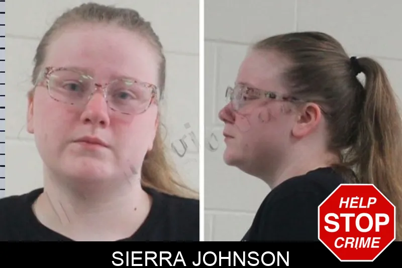 Sierra Johnson mugshot
