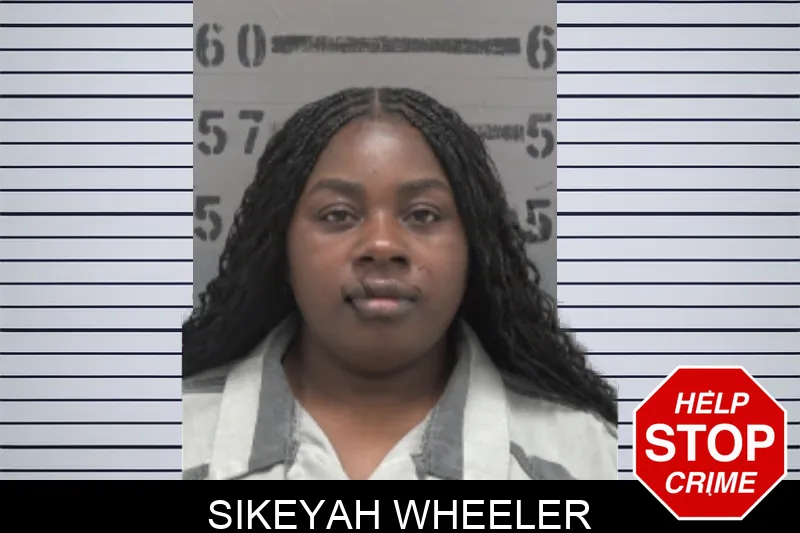 Sikeyah Wheeler mugshot – Dougherty County , Georgia Sikeyah Wheeler mugshot