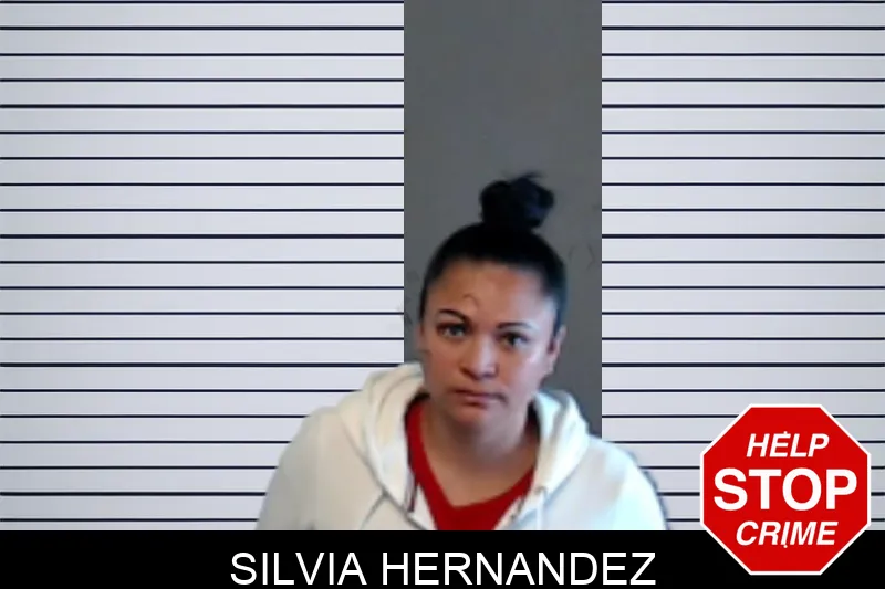 Silvia Hernandez mugshot