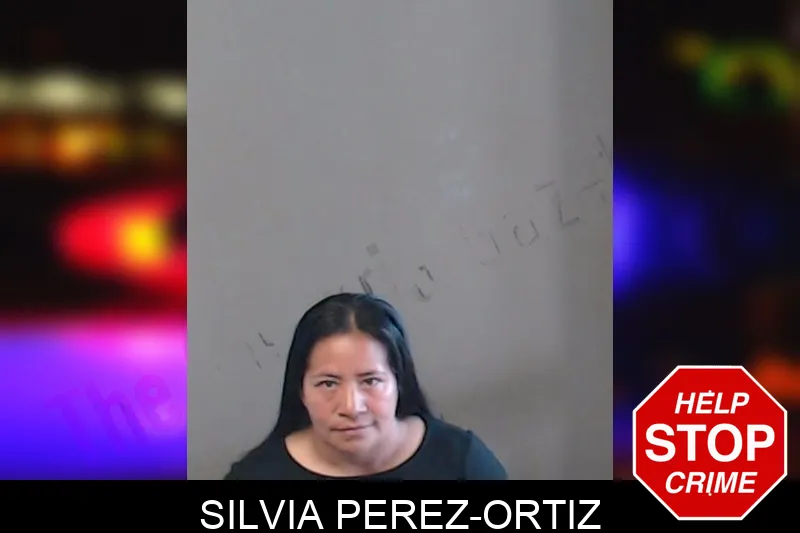 Silvia Perez-Ortiz mugshot