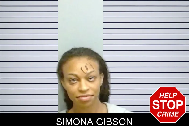 Simona Gibson mugshot