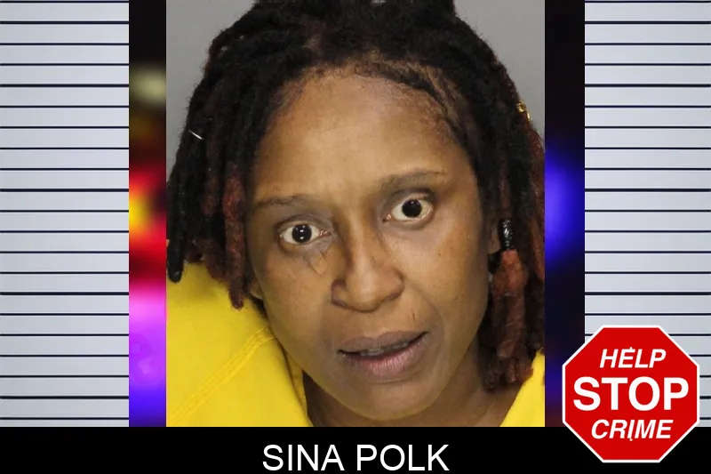 Sina Polk mugshot